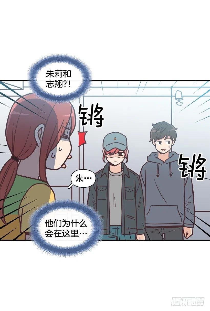 动物过敏