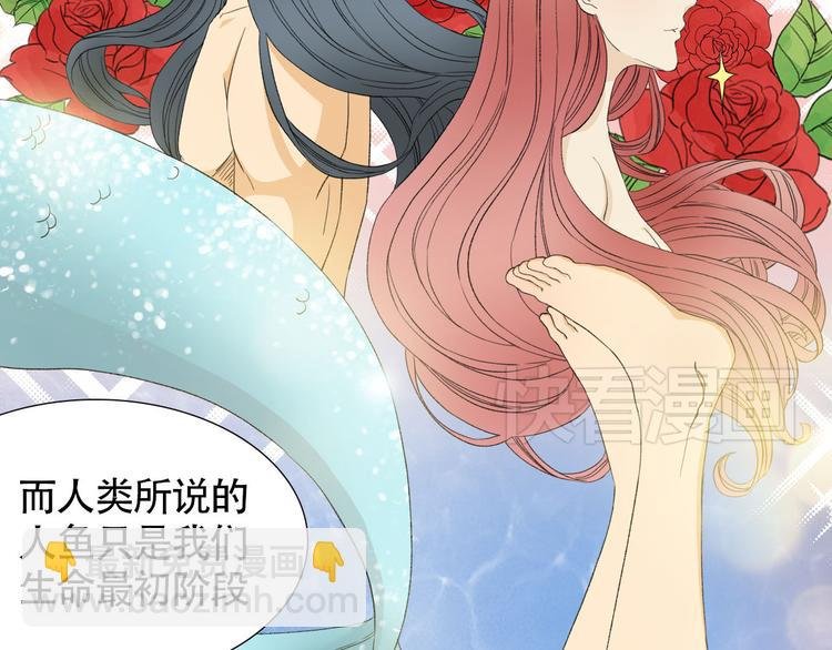 第2话 人鱼的交配方式是？