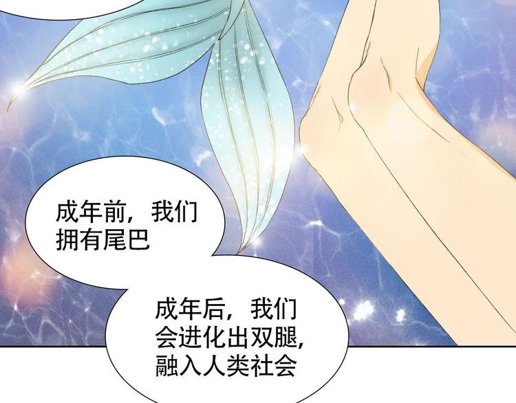 第2话 人鱼的交配方式是？