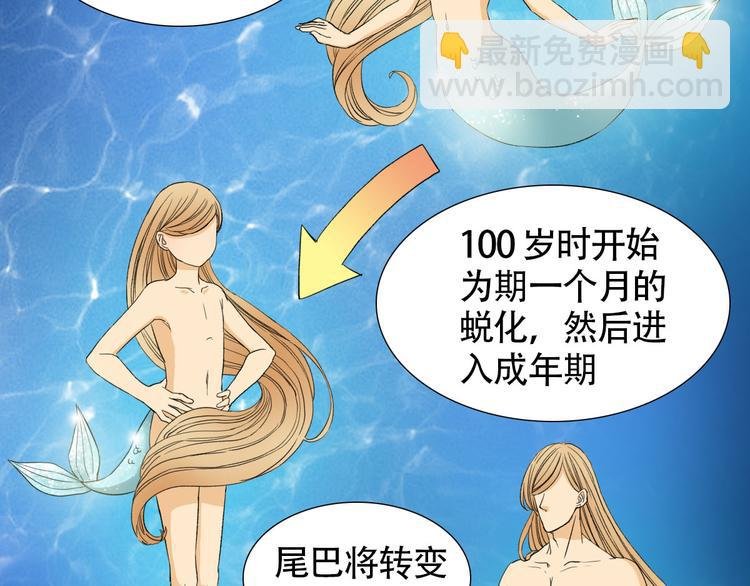 第2话 人鱼的交配方式是？