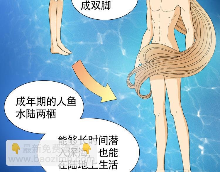 第2话 人鱼的交配方式是？