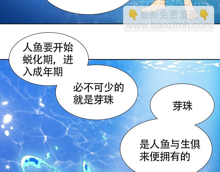 第2话 人鱼的交配方式是？