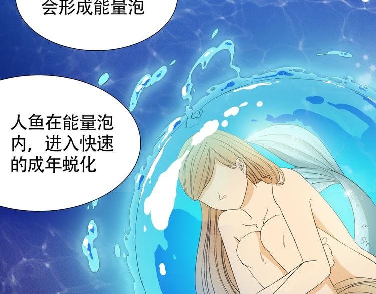 第2话 人鱼的交配方式是？