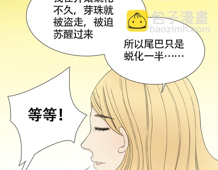 第2话 人鱼的交配方式是？