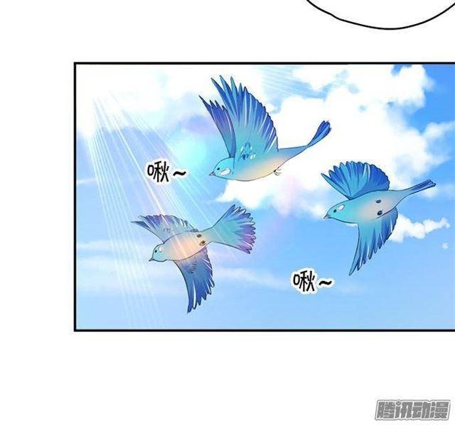 我愿用我的生命守护你！