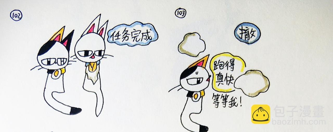 妹妹居然是猫妖国的创始者