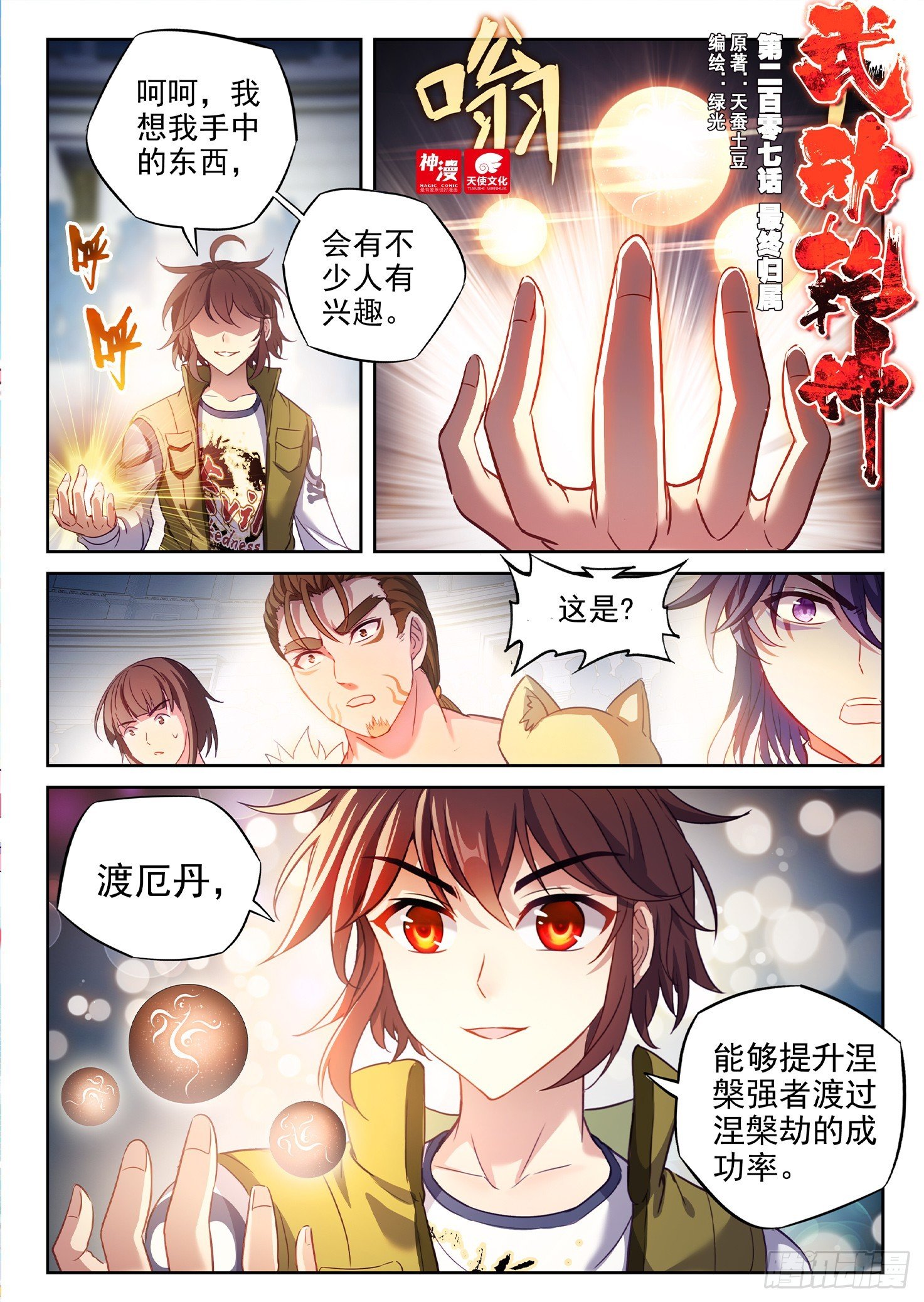207 最终归属