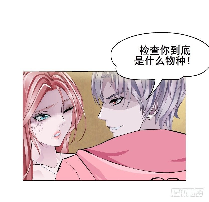 第13集 别逼我扒了你