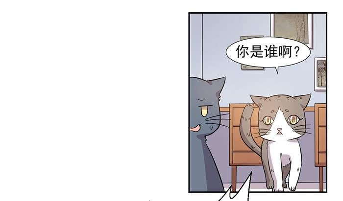 第026话