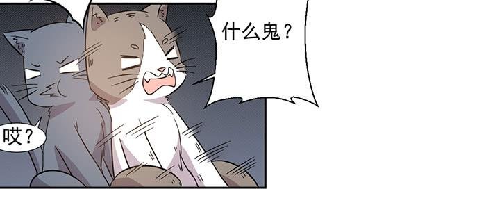 第026话