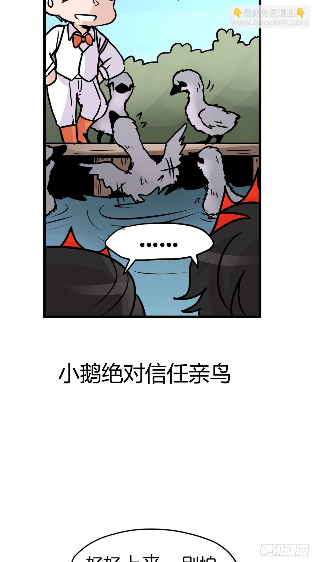 十日谈17：黑白罗曼史·4