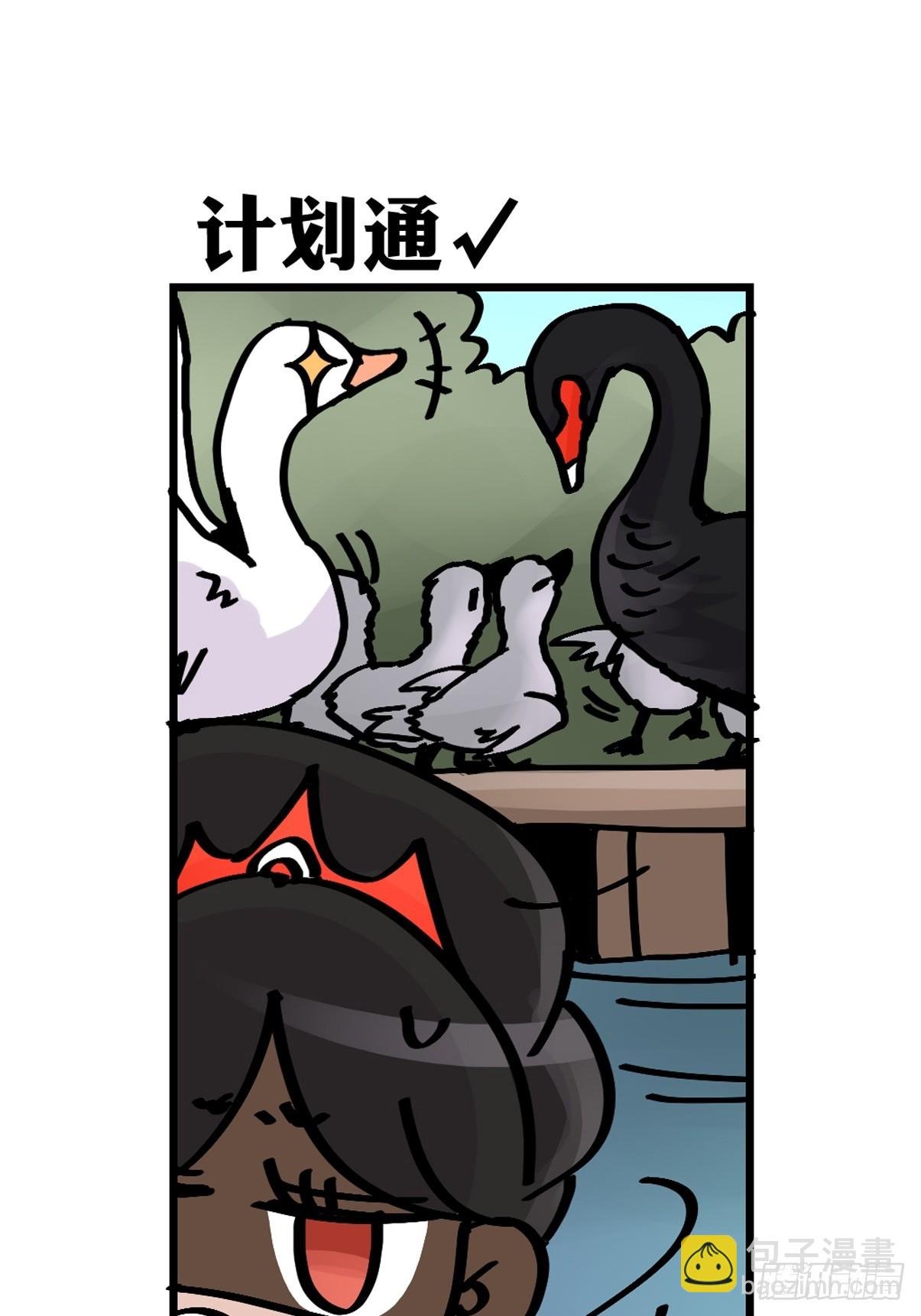 十日谈17：黑白罗曼史·4