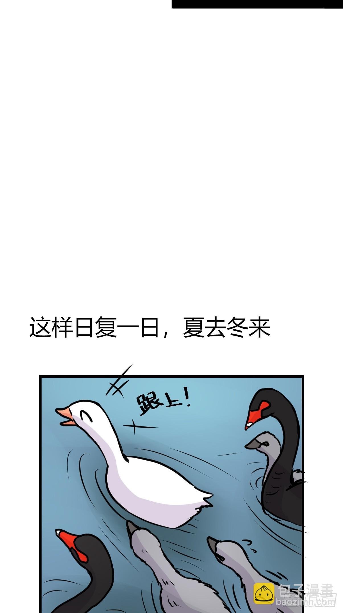 十日谈17：黑白罗曼史·4