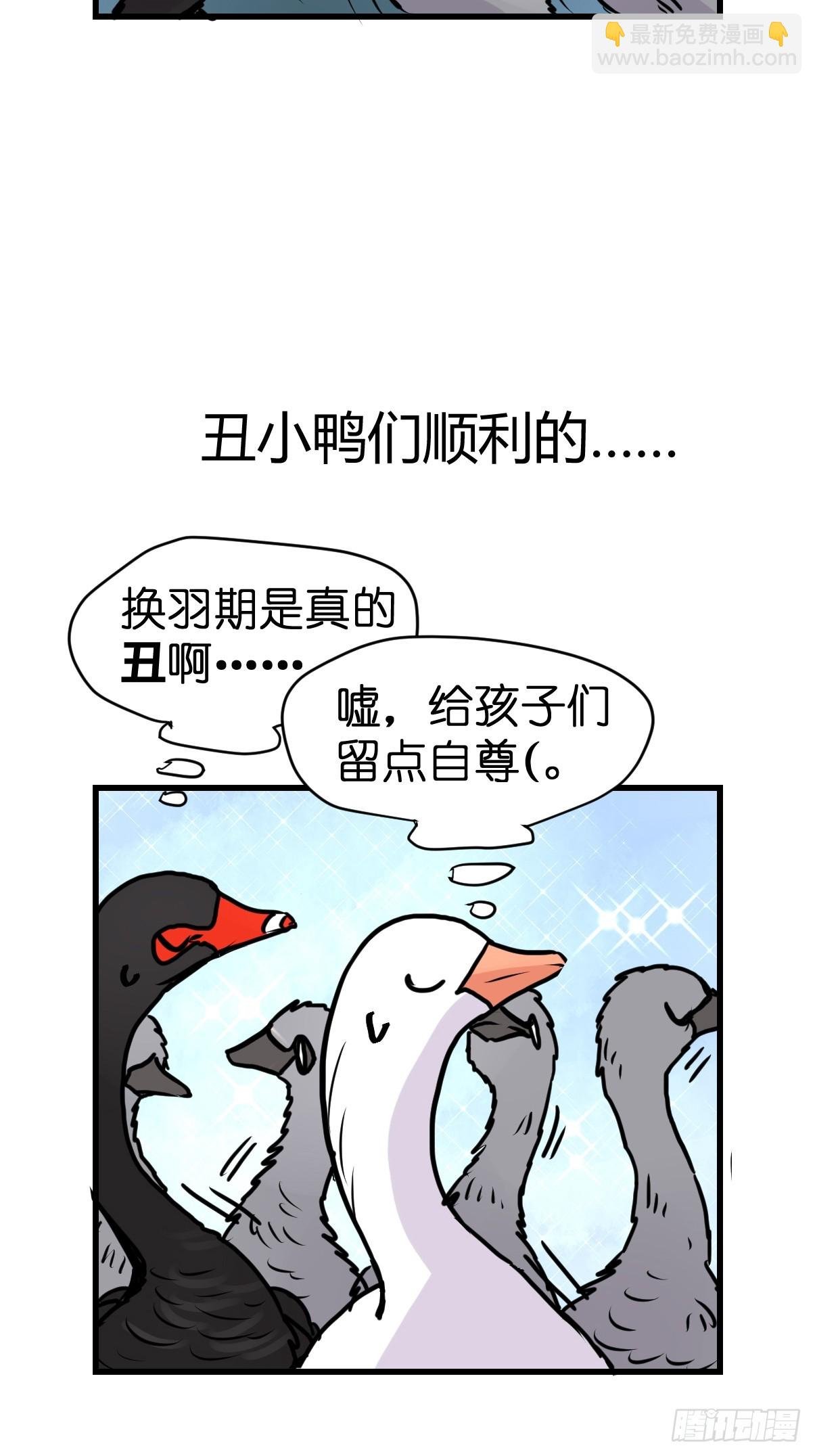 十日谈17：黑白罗曼史·4