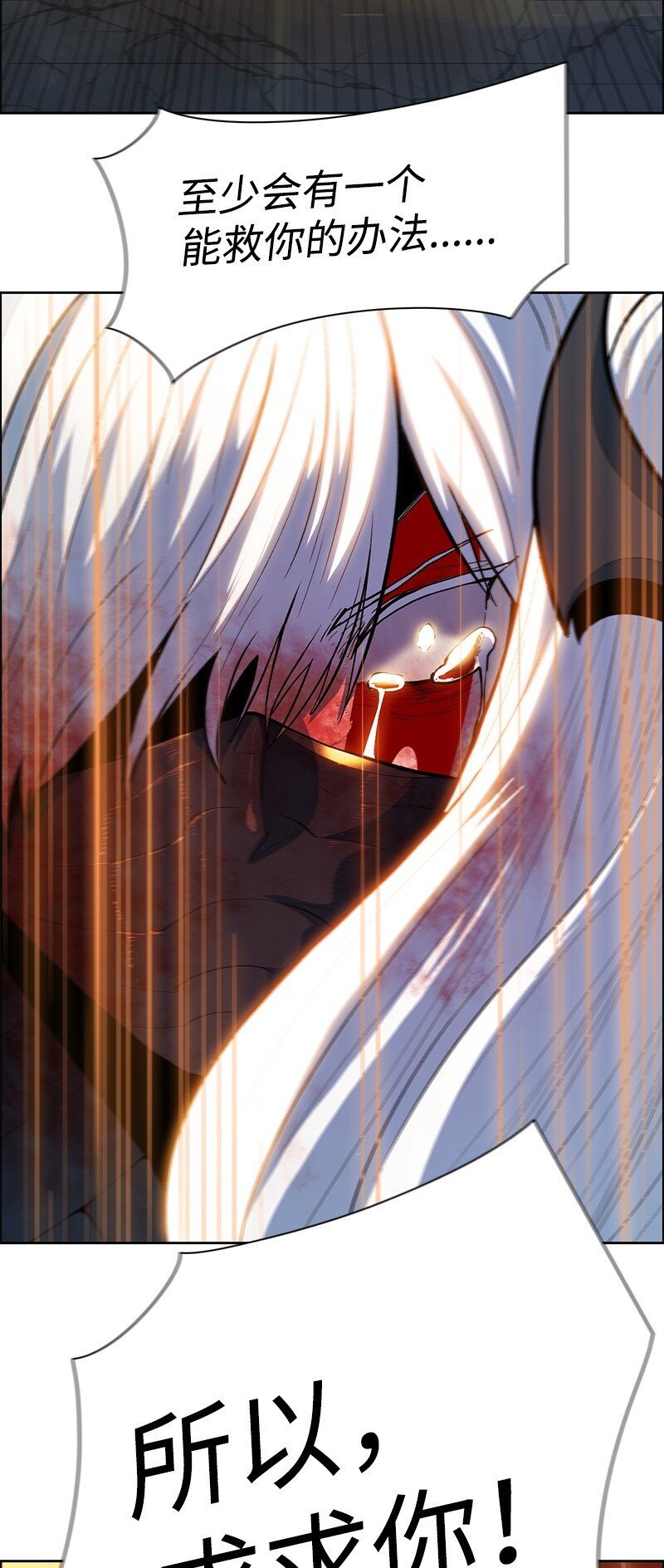 271 迈斯特·P