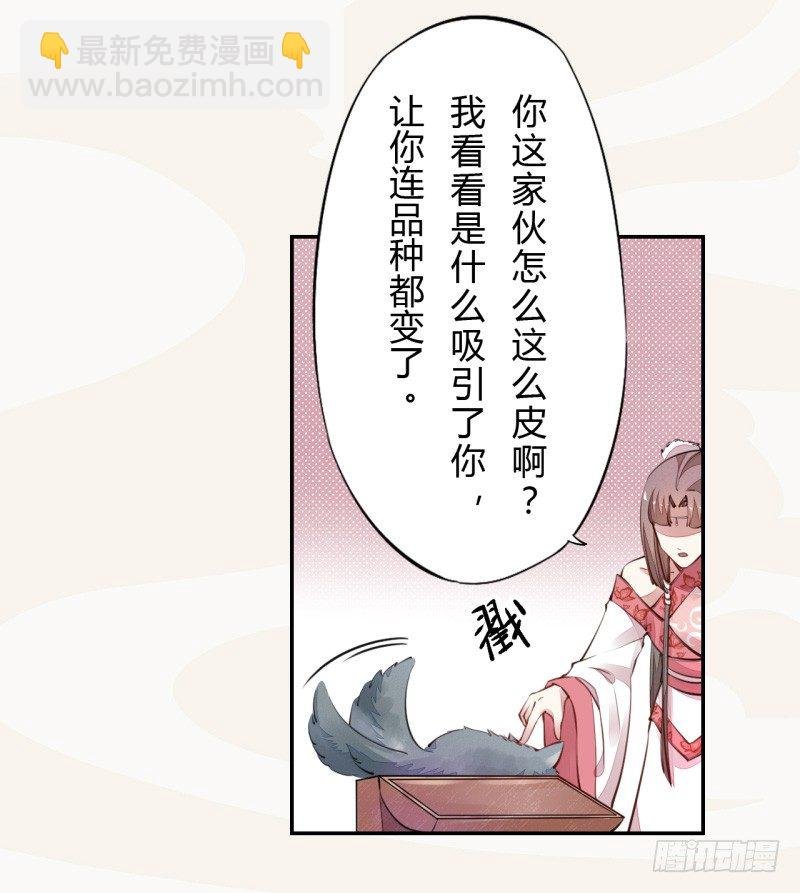 034 我什么都不缺就缺宝物