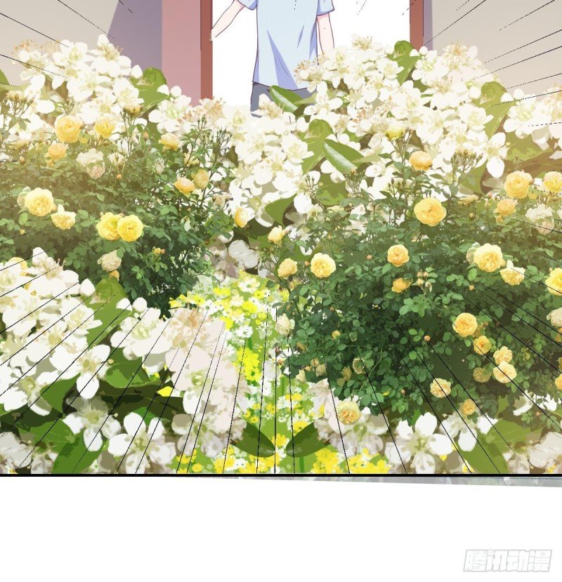 第77话 你这个笨蛋！
