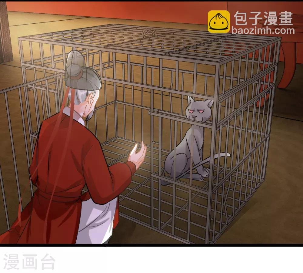 第54话 猫妖指认