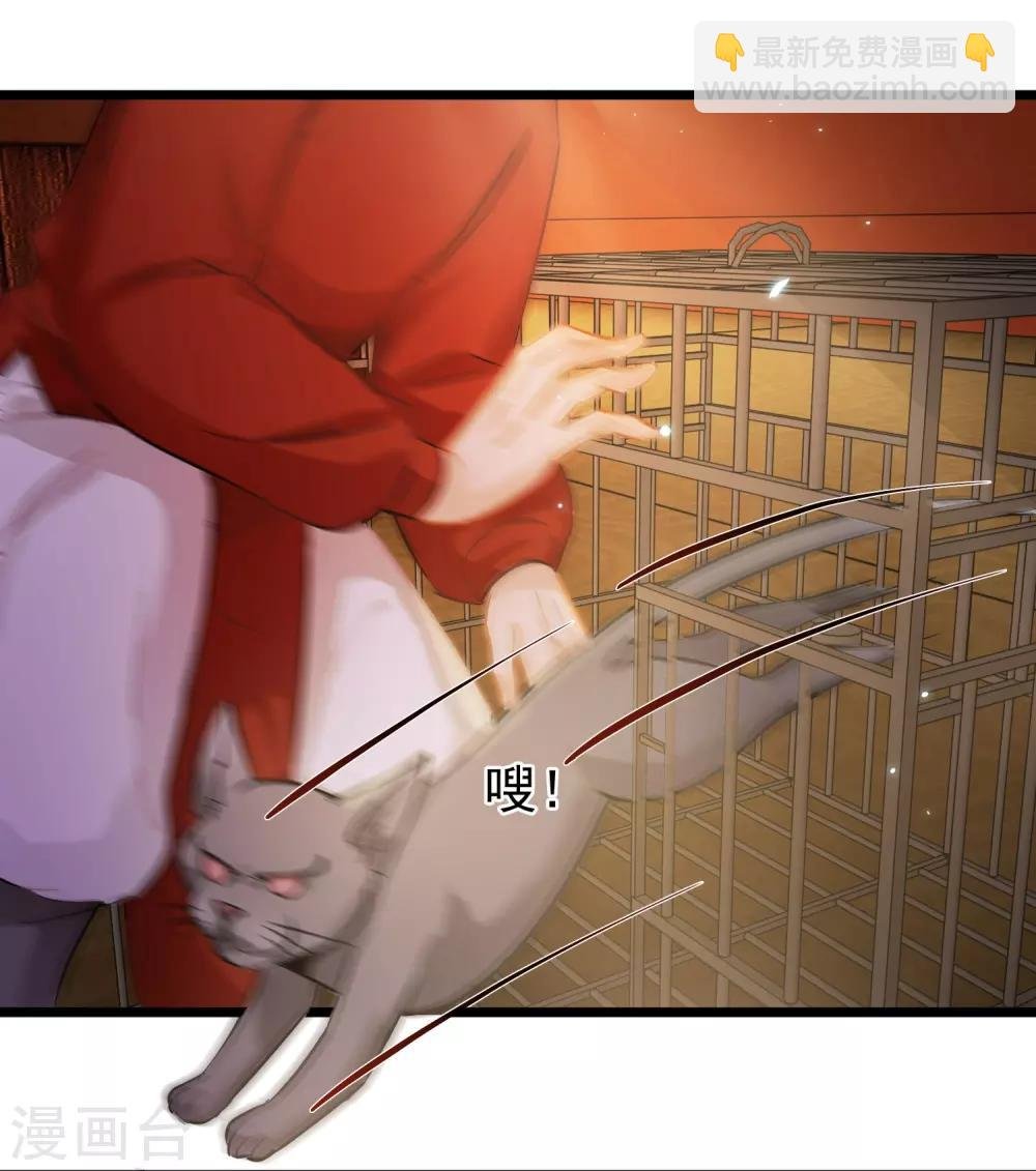 第54话 猫妖指认