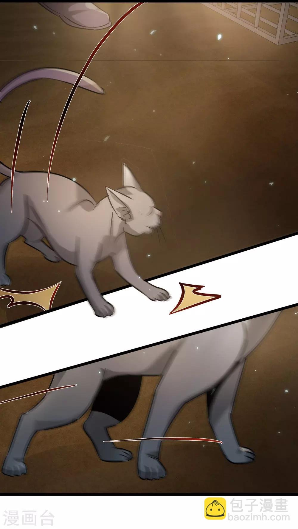 第54话 猫妖指认