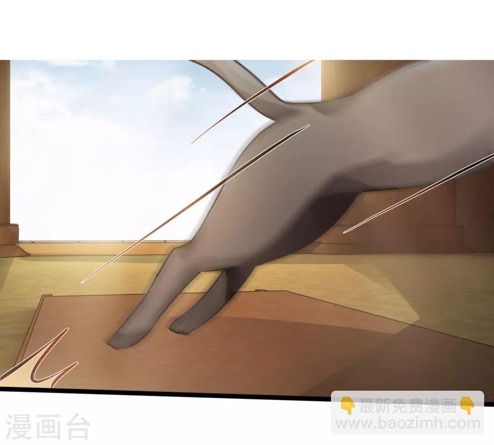 第54话 猫妖指认