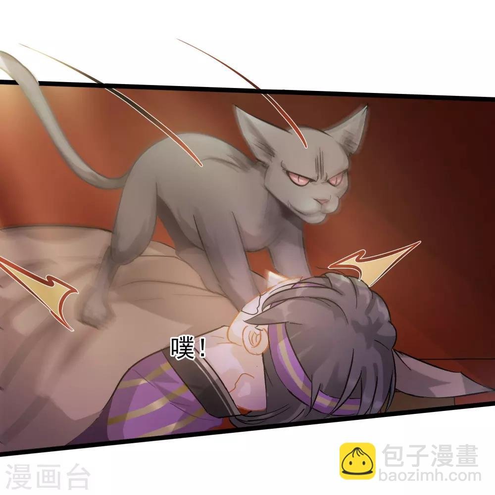 第54话 猫妖指认