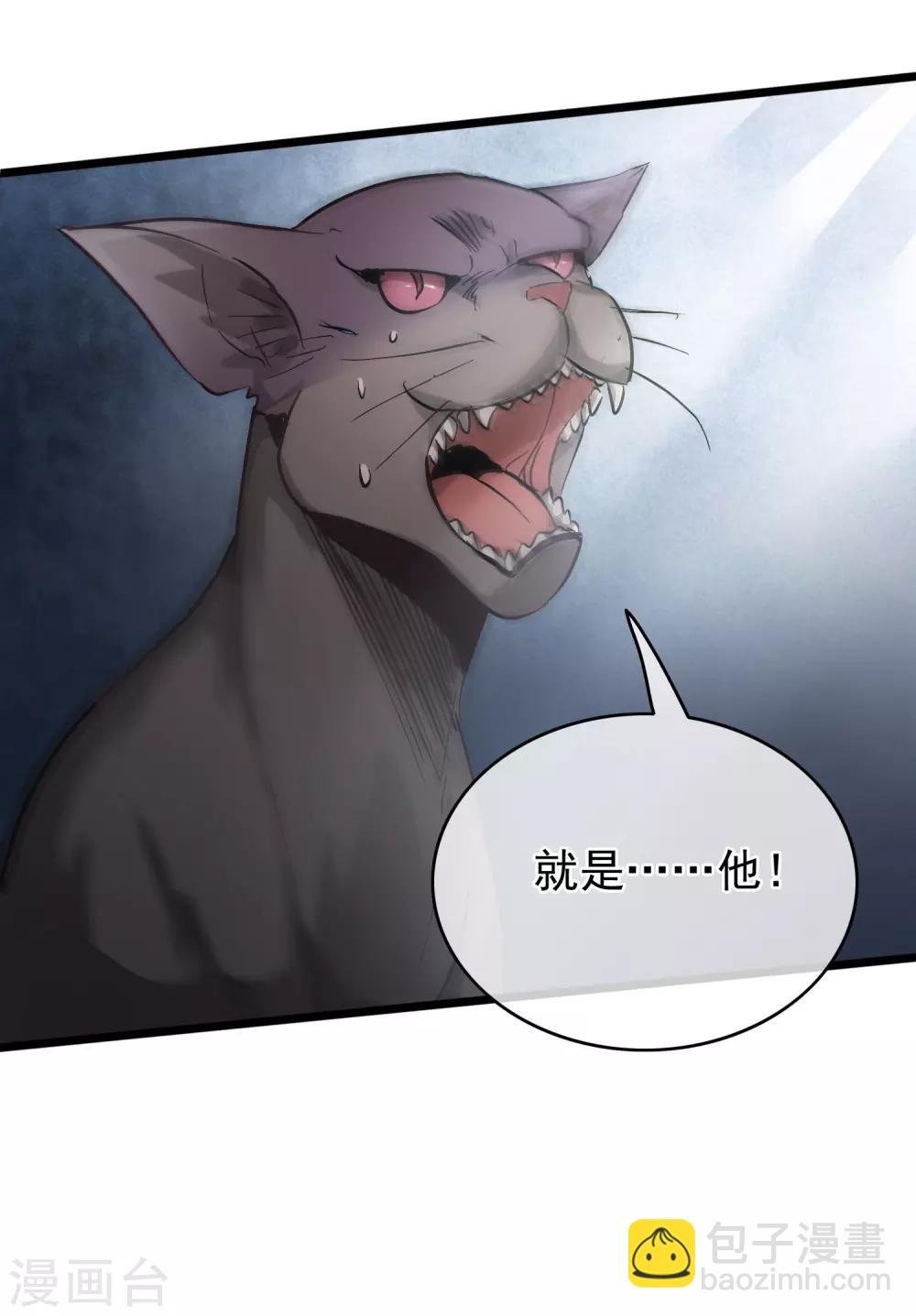 第54话 猫妖指认