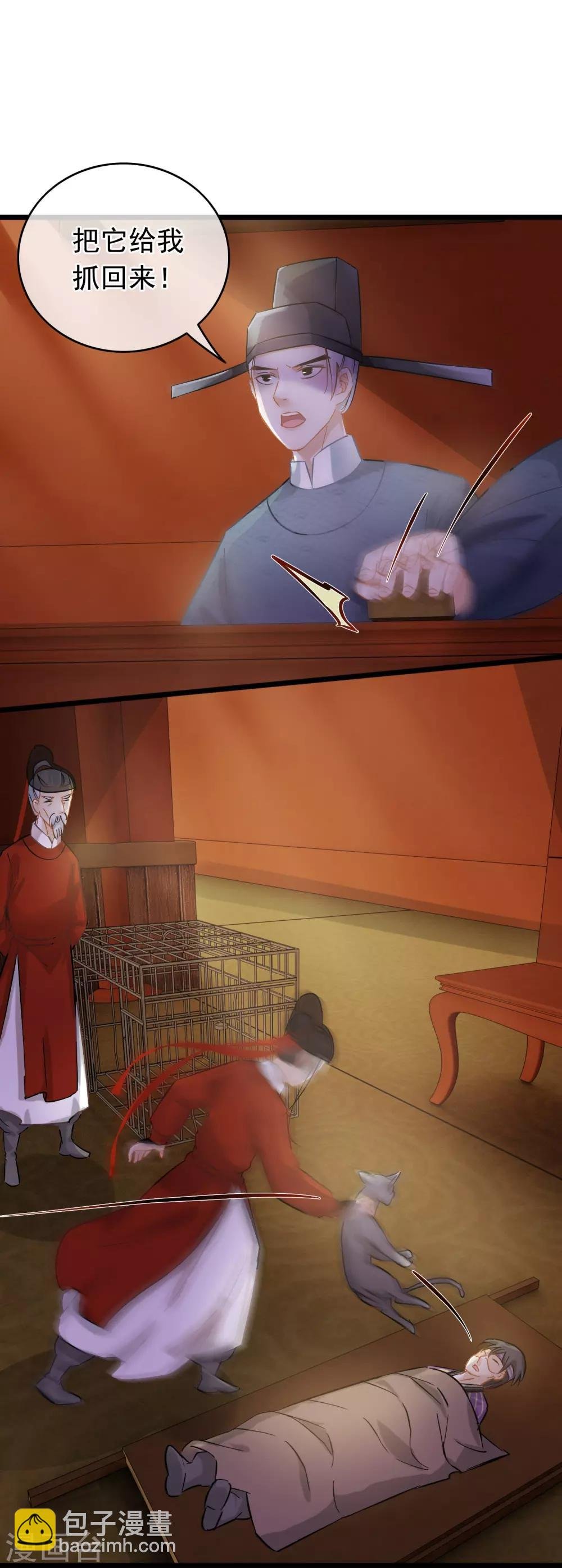 第54话 猫妖指认