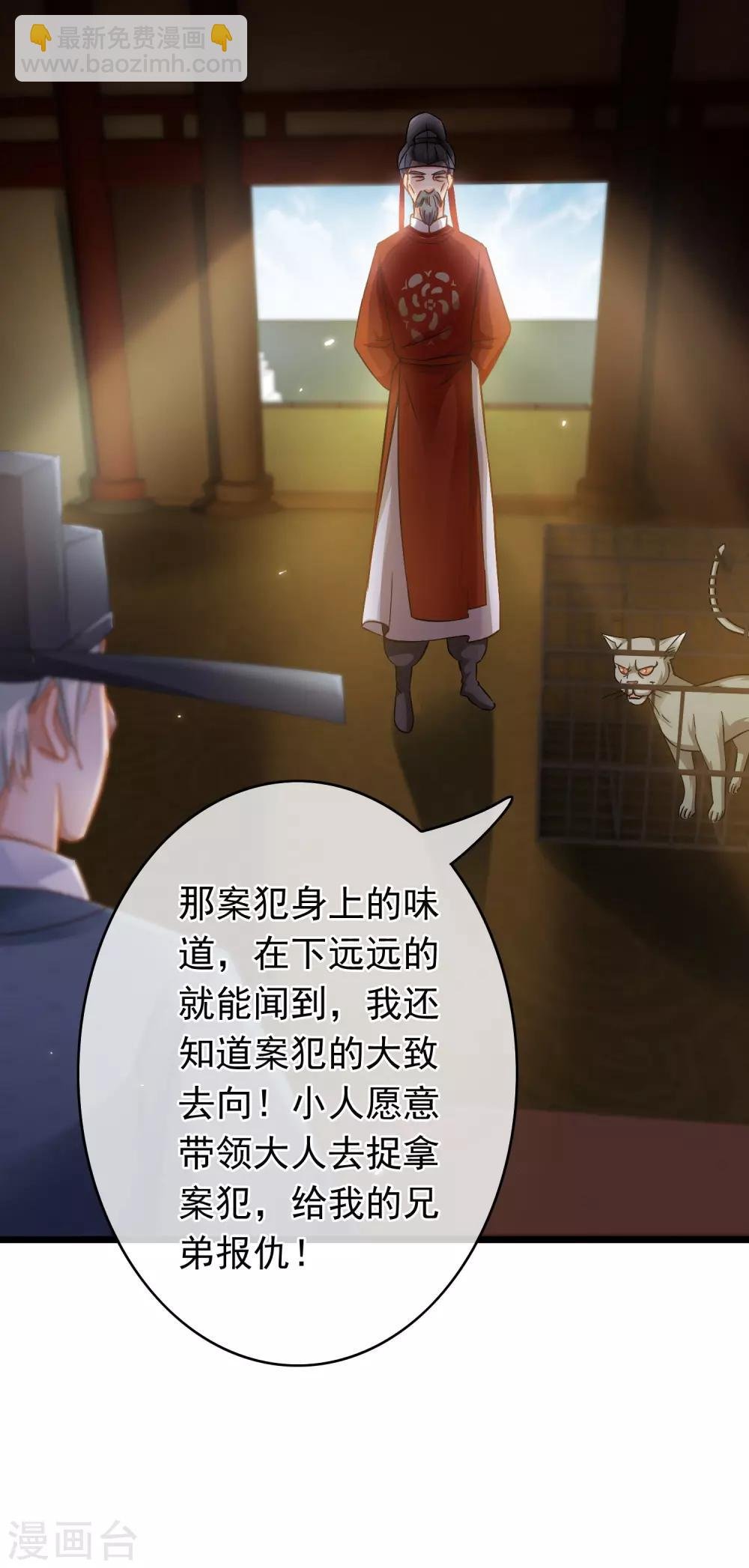 第54话 猫妖指认