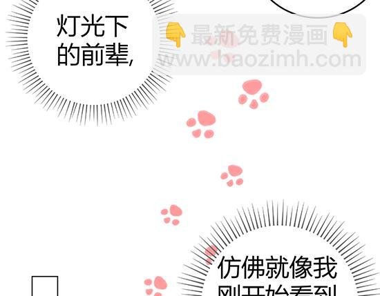 他是星光