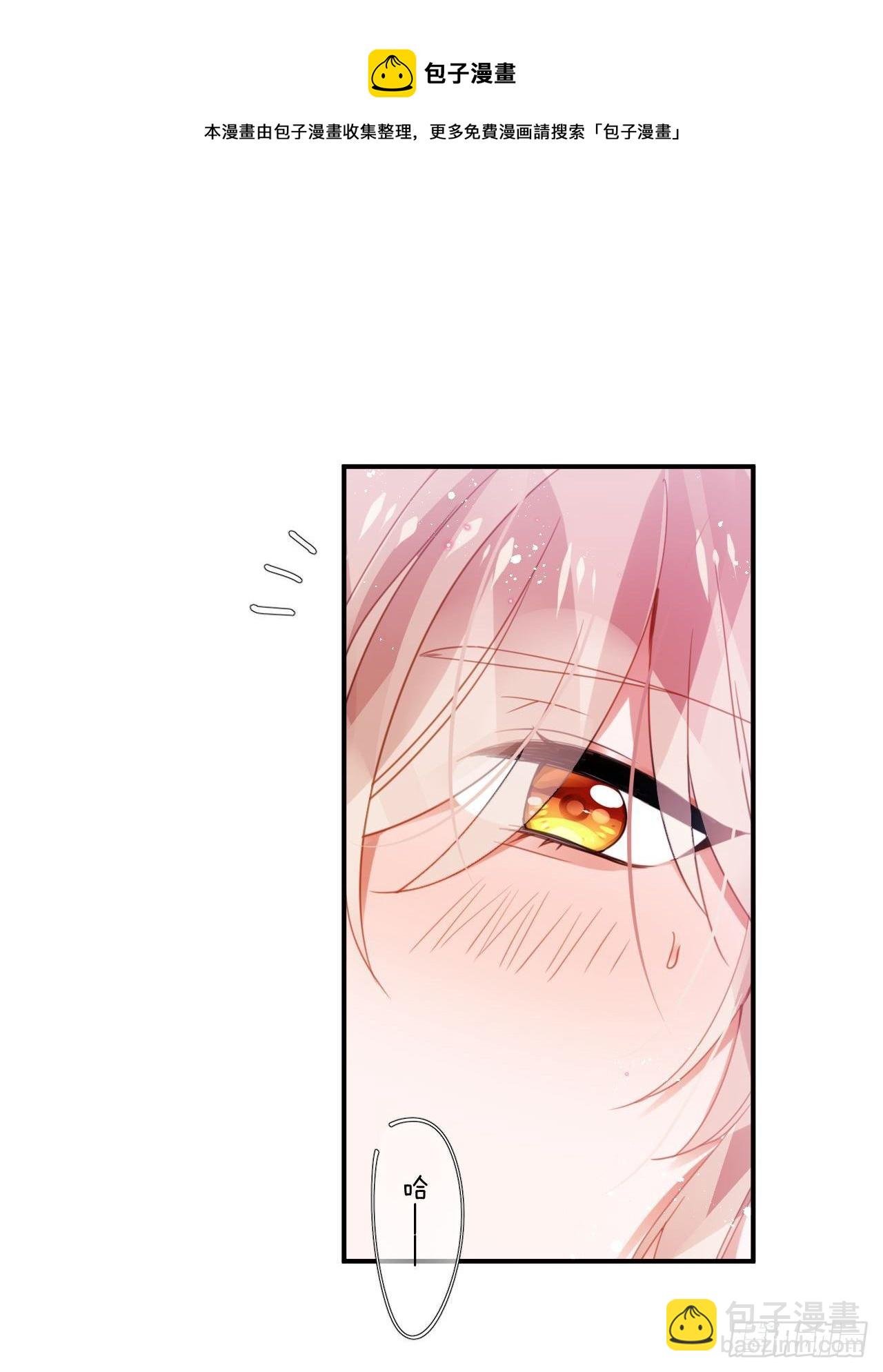 我不会骗你的