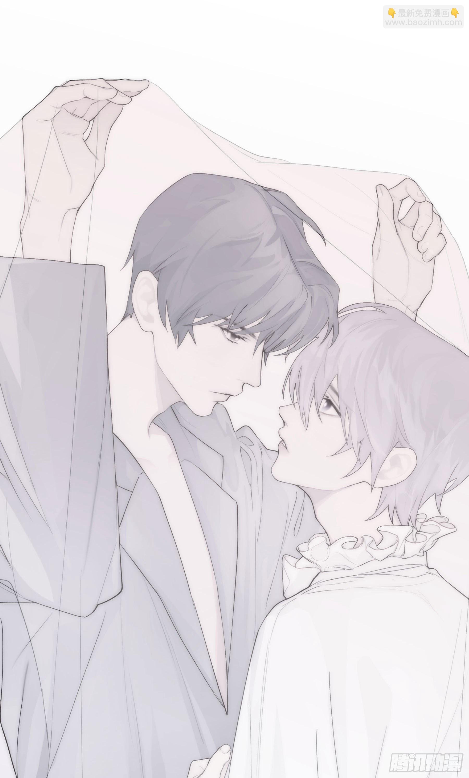 公告
