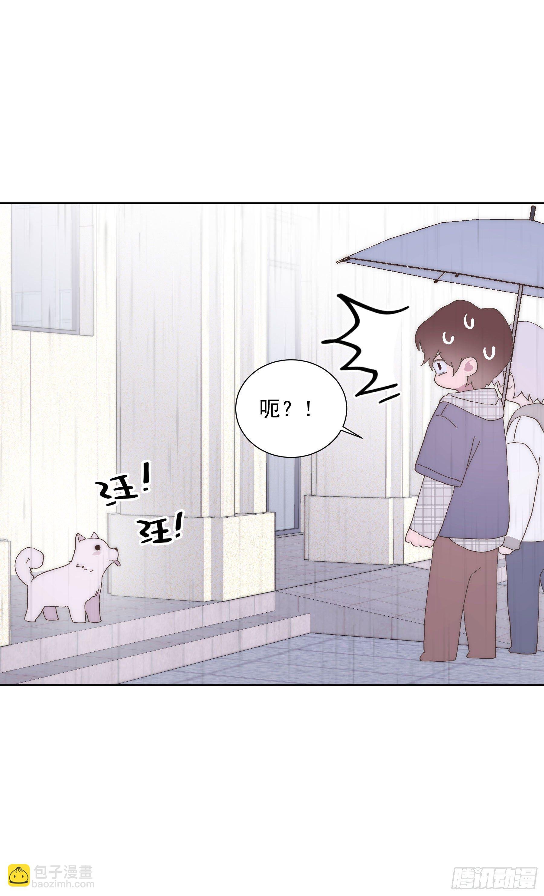 第14颗：见面