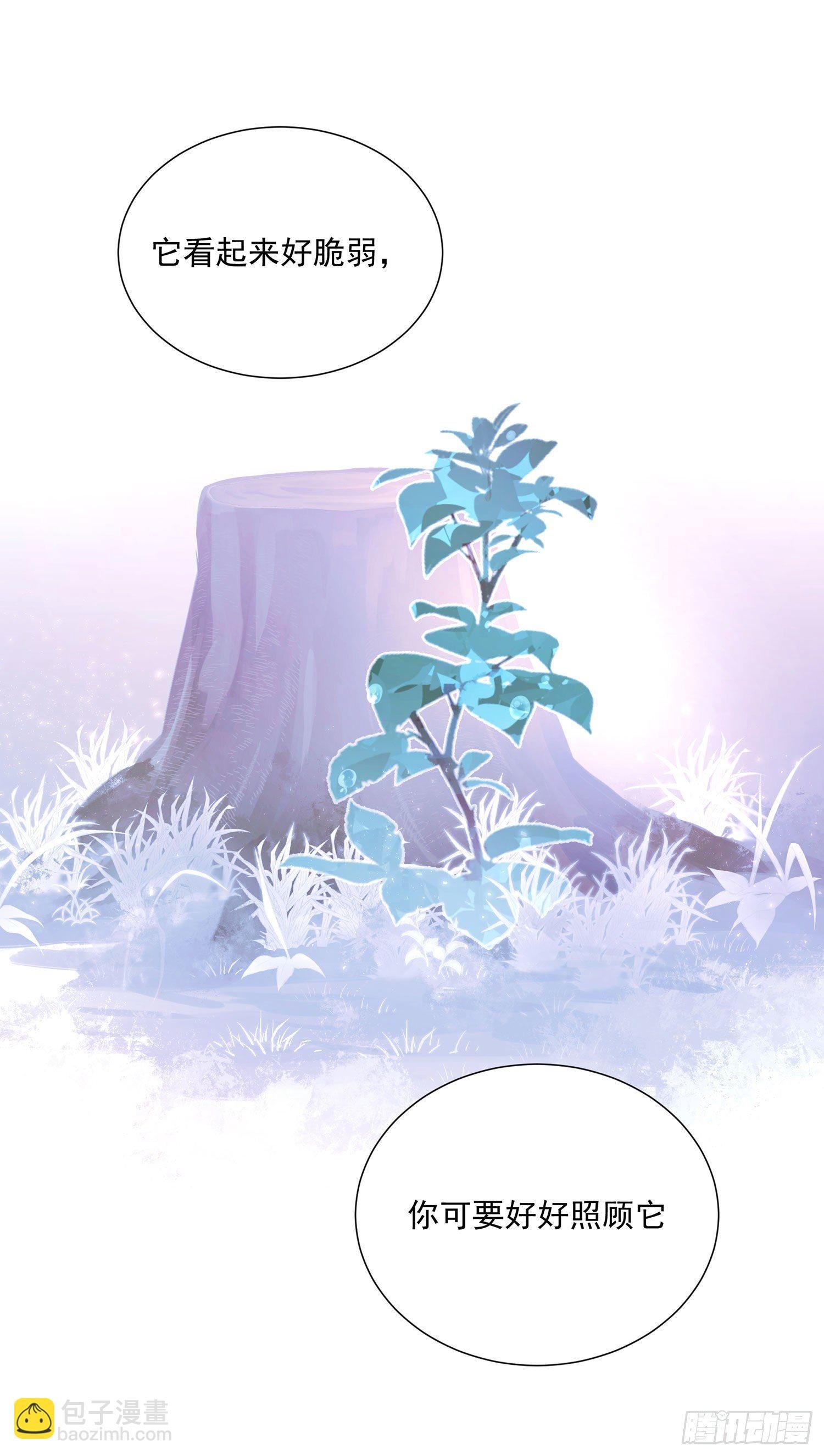第28颗：妈妈