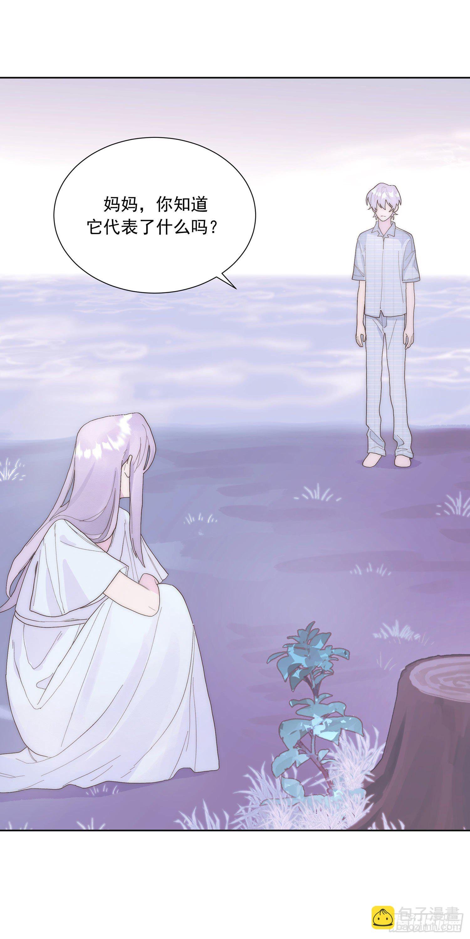 第28颗：妈妈