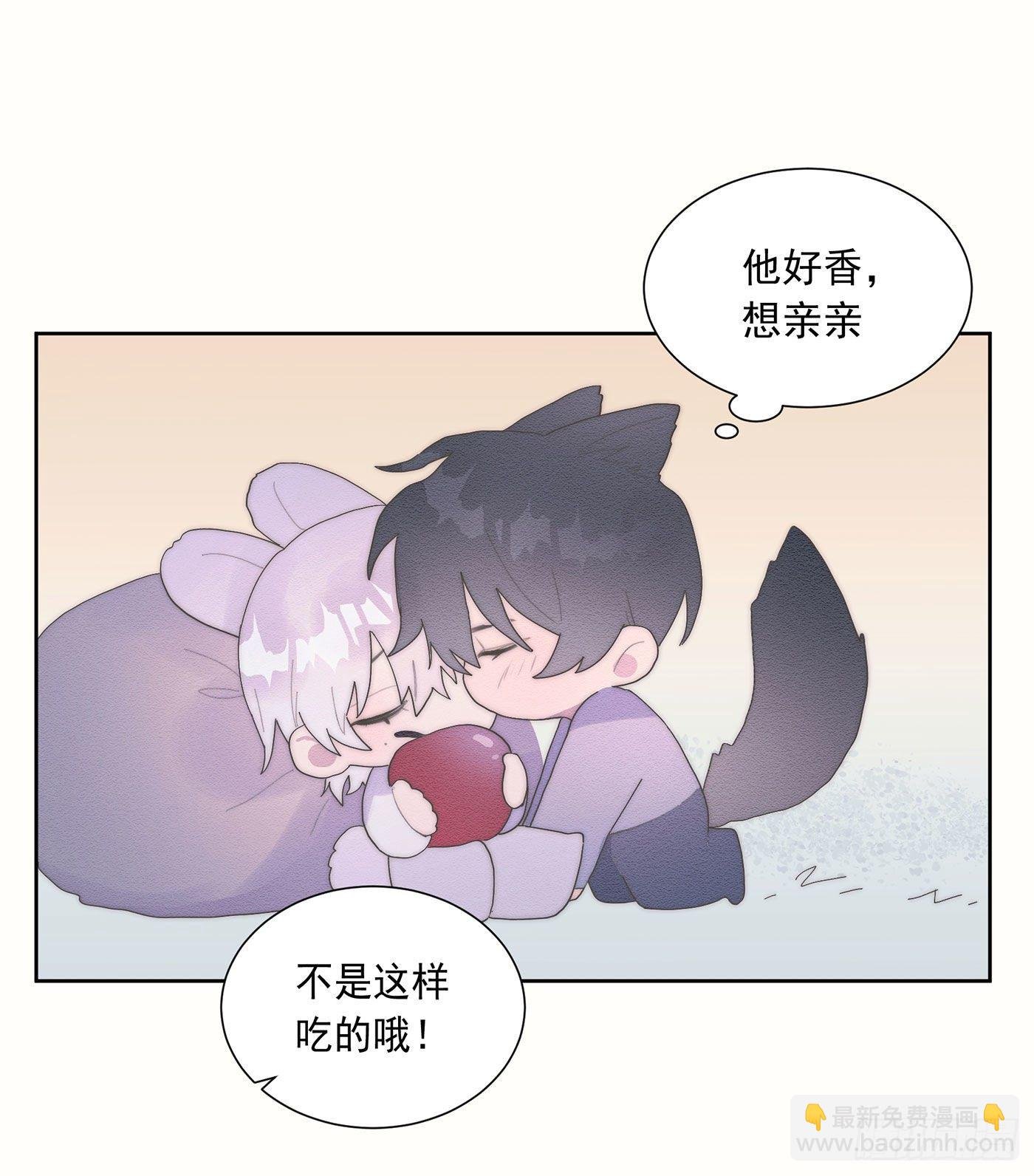 第35颗：争论