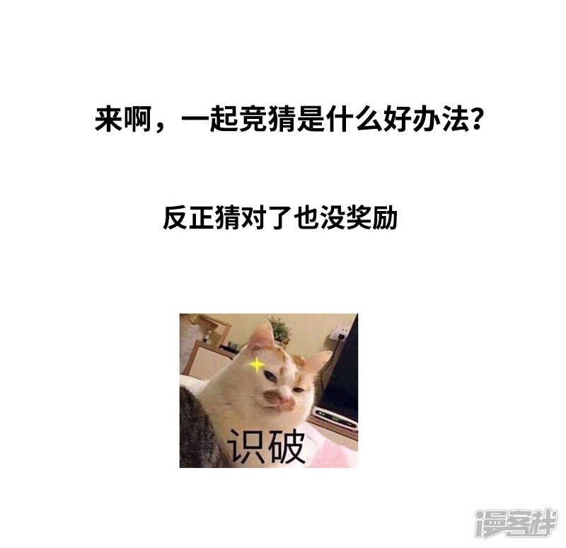 第36回 激烈的讨论 疯狂的猜测