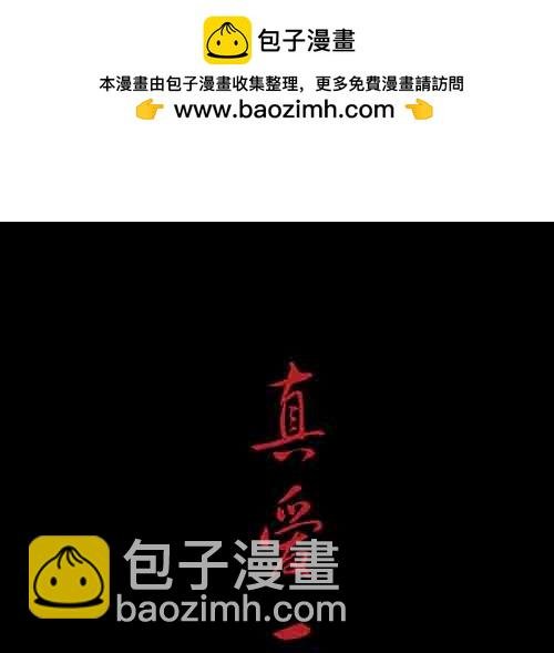 真爱2
