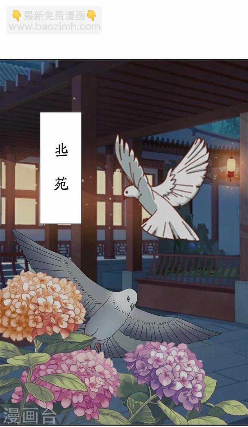 第52话 守宫砂