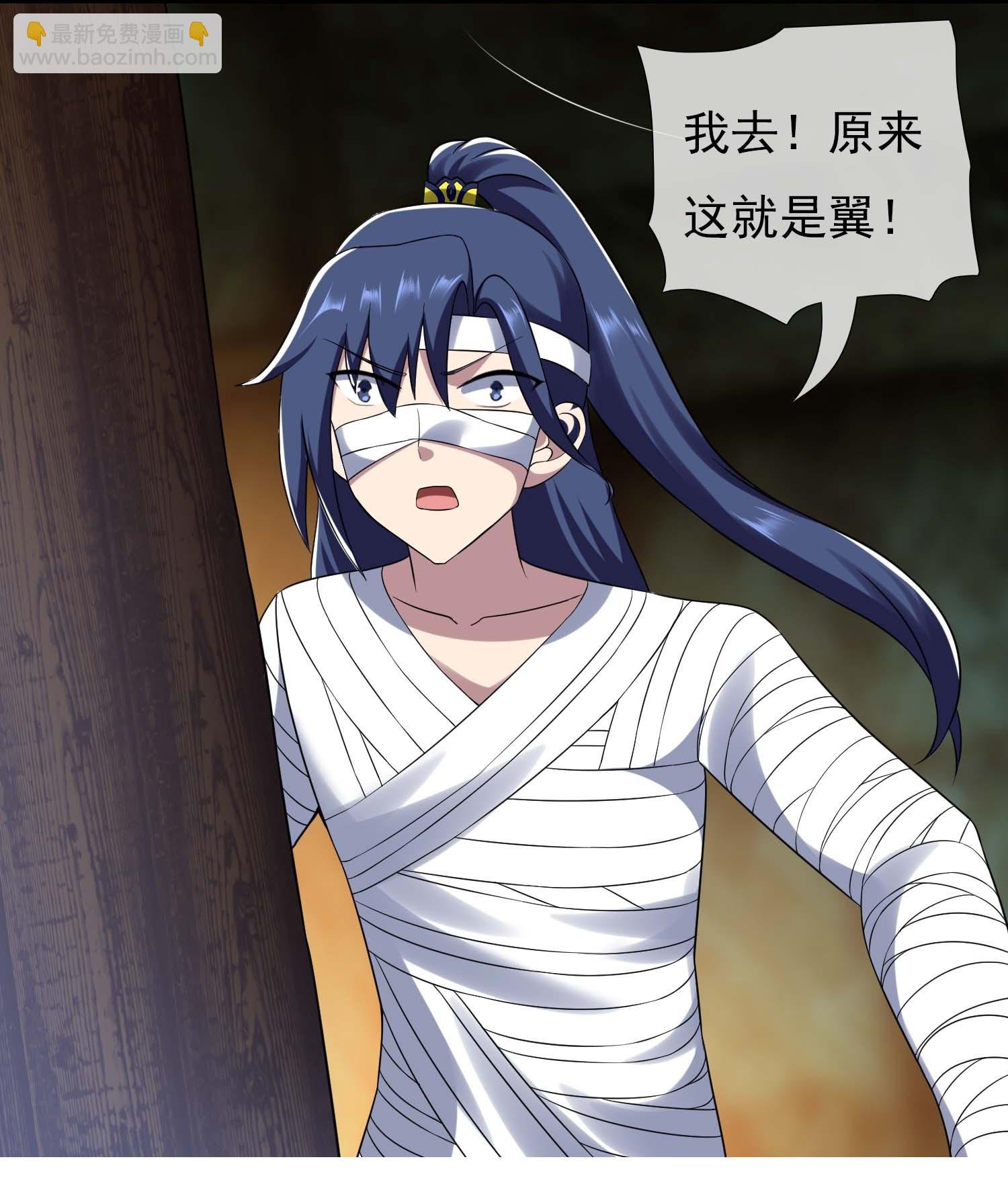 第109话 复仇之翼