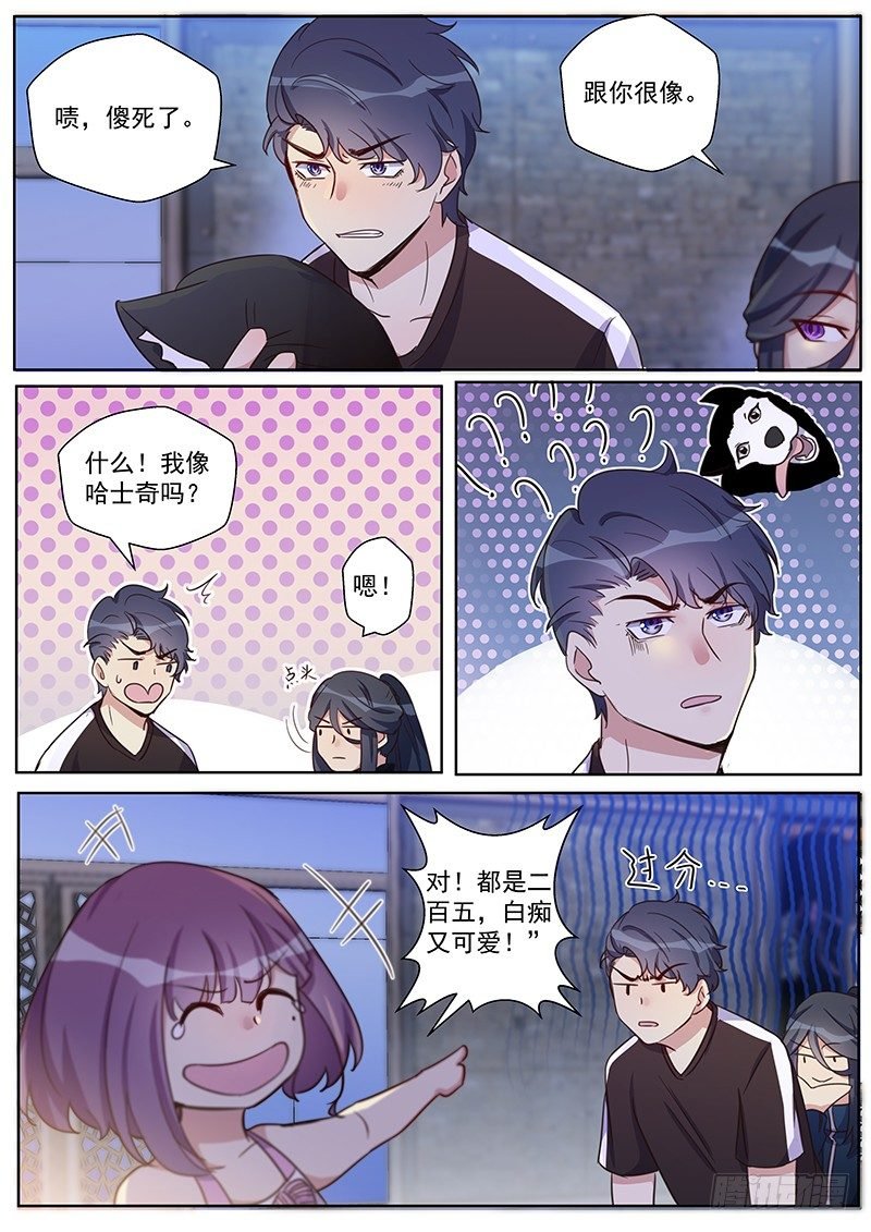 第29话：哈士奇精
