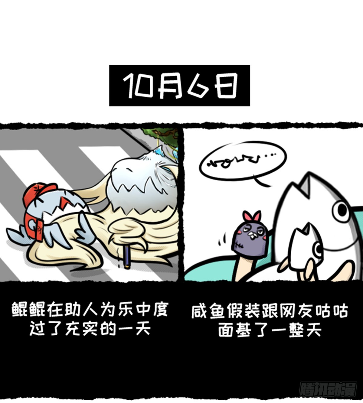鲲鲲的假期生活