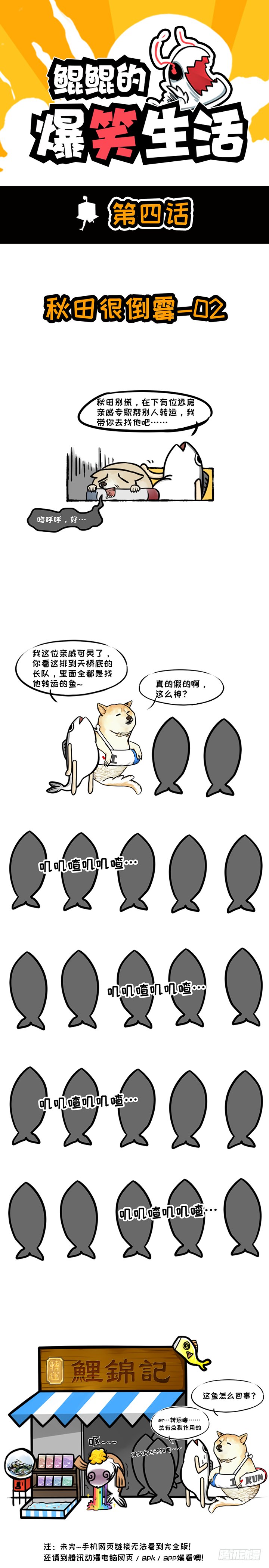 锦鲤来转运