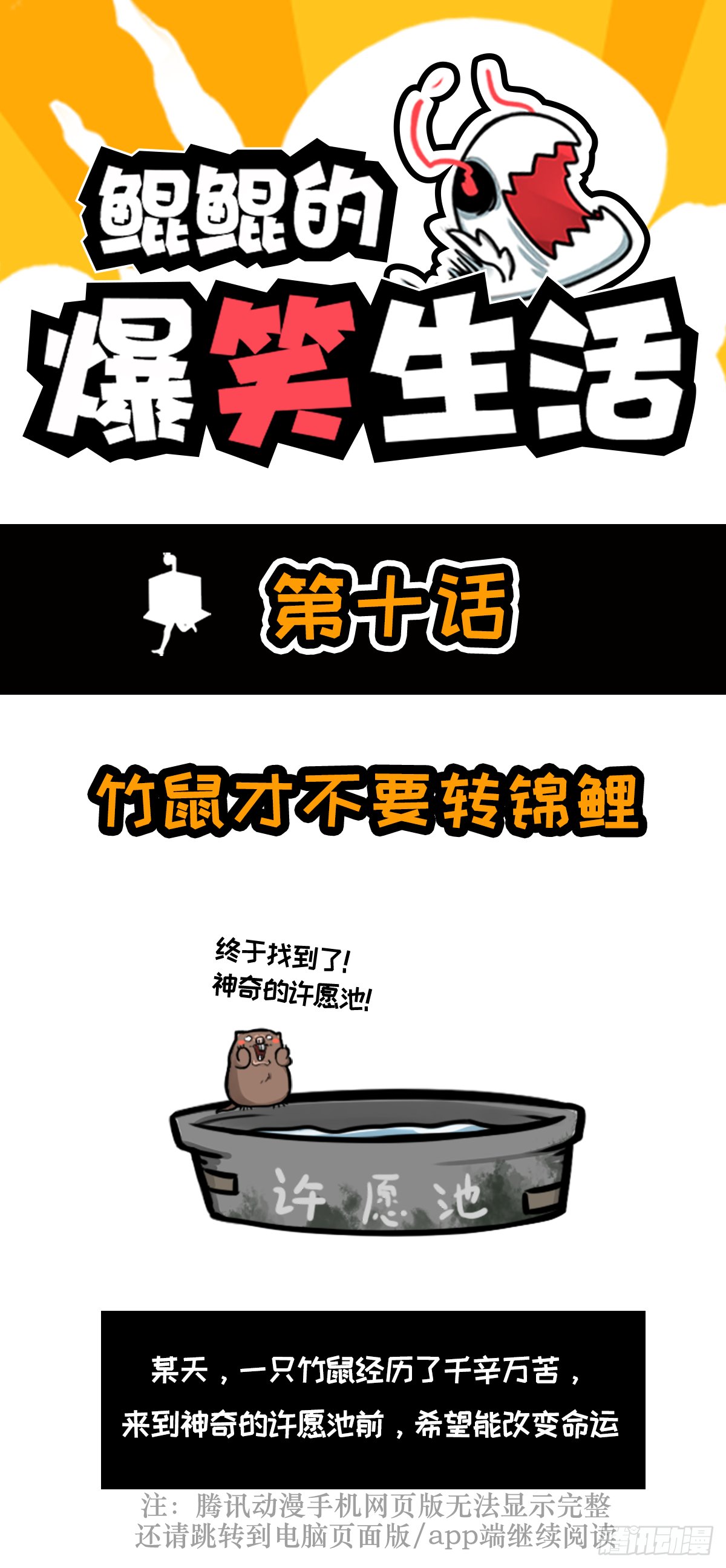 竹鼠才不要转锦鲤
