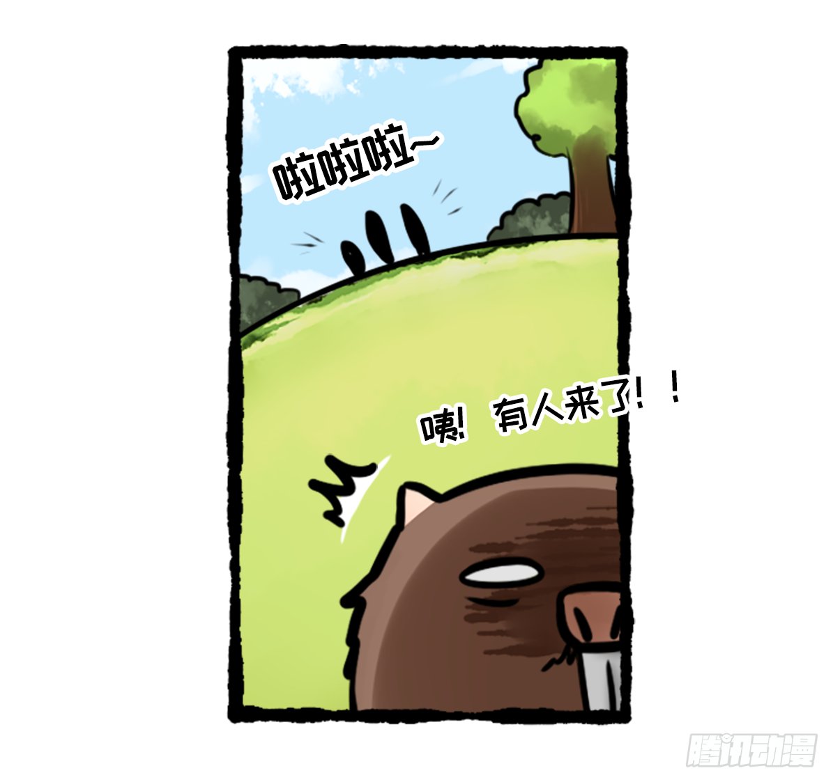 竹鼠才不要转锦鲤