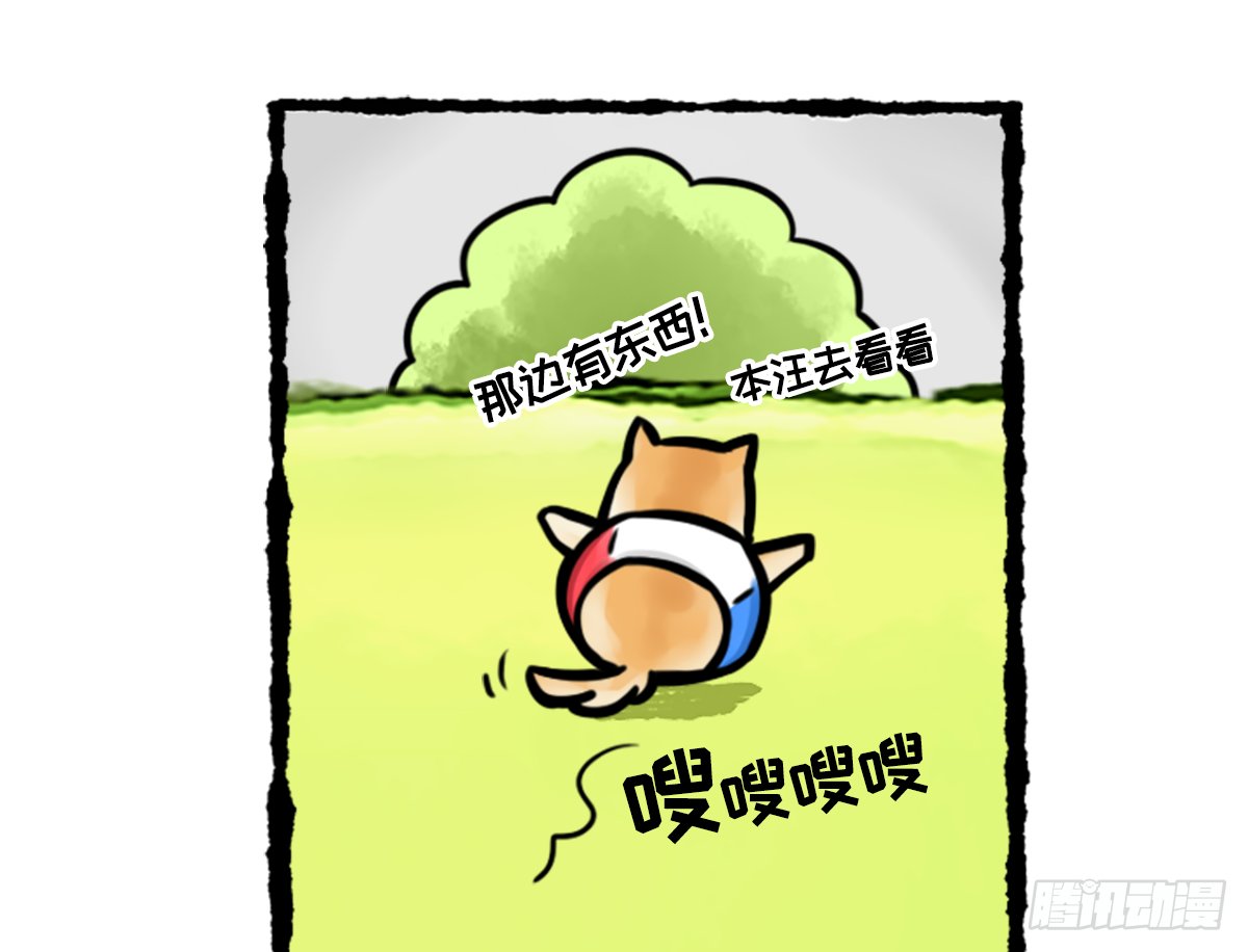 竹鼠才不要转锦鲤