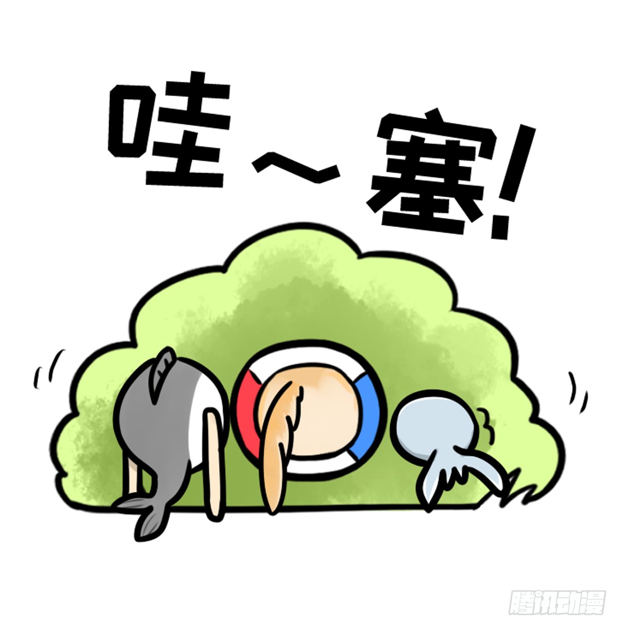 竹鼠才不要转锦鲤