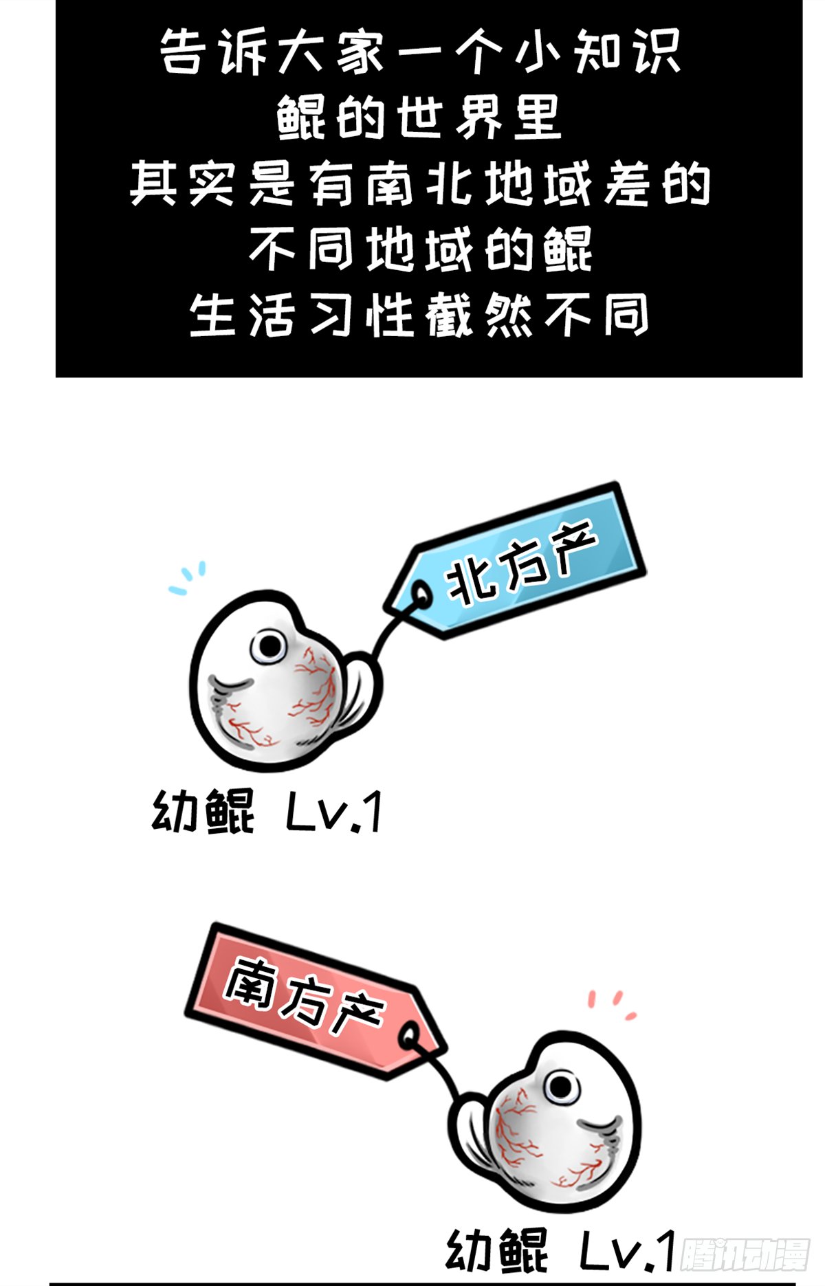 鲲鲲地理课之南北差异多