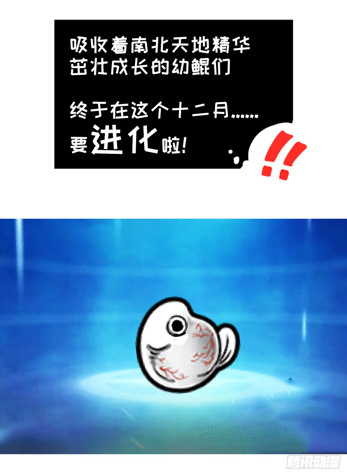 鲲鲲地理课之南北差异多