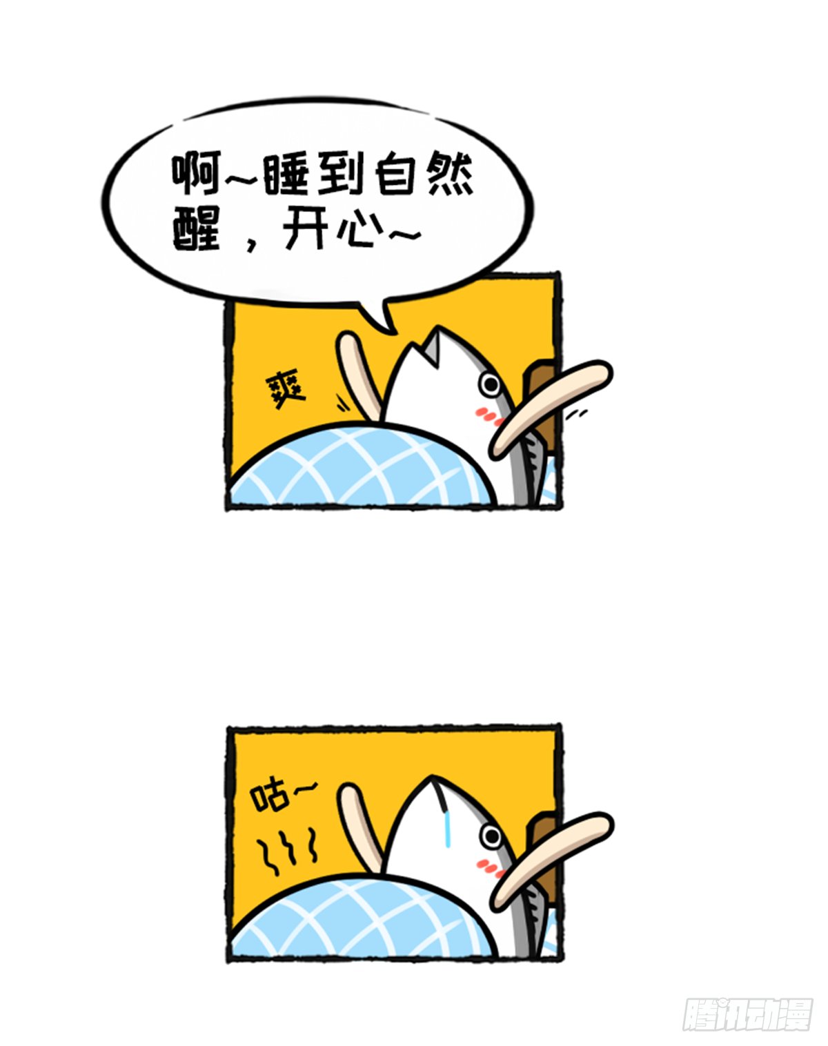 没有鸽哦